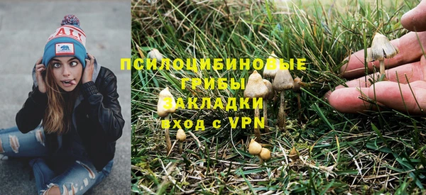 трава Абдулино