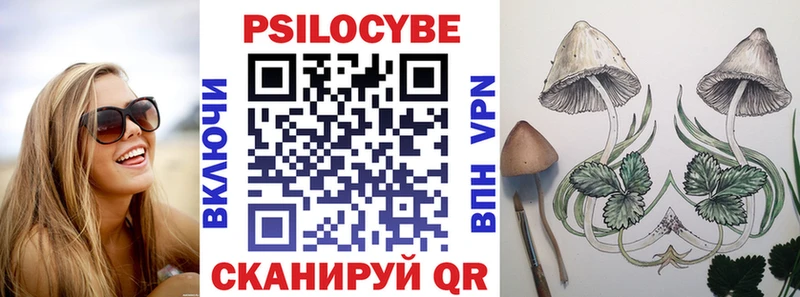 Галлюциногенные грибы Psilocybe  blacksprut вход  Цимлянск  дарк нет Telegram  где купить  